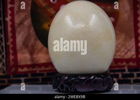 Uovo di struzzo di grandi dimensioni collocato su un supporto di legno, isolato Foto Stock