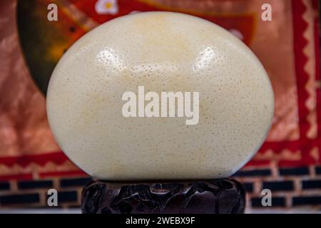 Uovo di struzzo di grandi dimensioni collocato su un supporto di legno, isolato Foto Stock