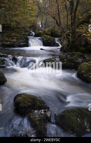 Il centro cade di Aira Force in autunno nel Lake District inglese, REGNO UNITO Foto Stock