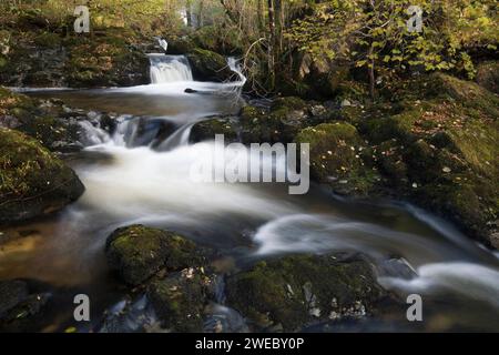 Il centro cade di Aira Force in autunno nel Lake District inglese, REGNO UNITO Foto Stock