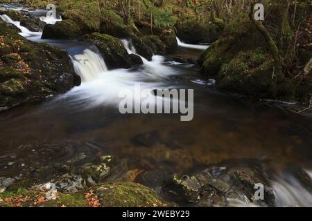 Il centro cade di Aira Force in autunno nel Lake District inglese, REGNO UNITO Foto Stock