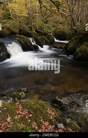 Il centro cade di Aira Force in autunno nel Lake District inglese, REGNO UNITO Foto Stock