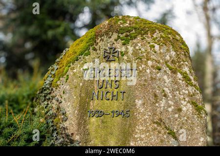 Gedenkstein für die Opfer des Zweiten Weltkrieges 1939 - 1945 im Schlosspark Donaueschingen Baden-Württemberg Deutschland *** pietra commemorativa per le vittime della seconda guerra mondiale 1939 1945 a Donaueschingen Castle Park Baden Württemberg Germania Foto Stock