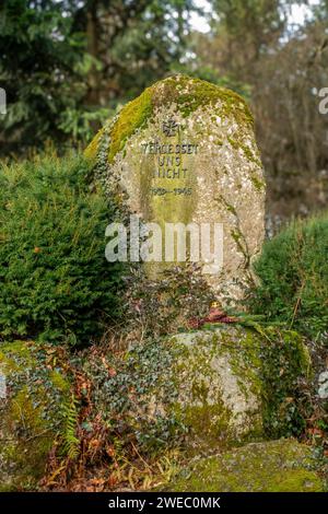 Gedenkstein für die Opfer des Zweiten Weltkrieges 1939 - 1945 im Schlosspark Donaueschingen Baden-Württemberg Deutschland *** pietra commemorativa per le vittime della seconda guerra mondiale 1939 1945 a Donaueschingen Castle Park Baden Württemberg Germania Foto Stock