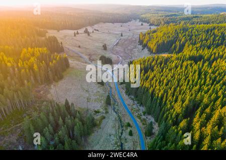 Foresta di conifere al tramonto da una prospettiva aerea drone. Paesaggio di valle con una strada asfaltata e un ruscello nella regione delle montagne ore, Repubblica Ceca. Foto Stock