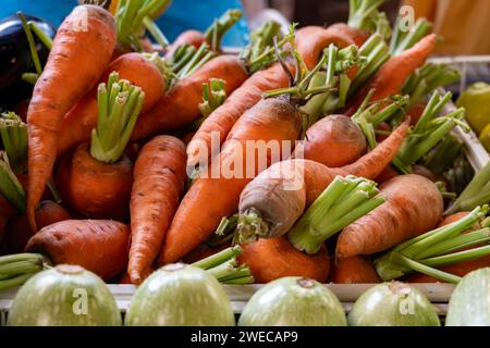 Radici di carote d'arancia fresche e biologiche sul mercato agricolo di Tenerife, Isole Canarie, Spagna, da vicino Foto Stock