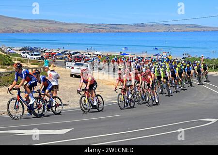 Piloti che gareggiano durante la 5a tappa del Tour Down Under 2024 ad Aldinga, ad Adelaide, Australia Foto Stock