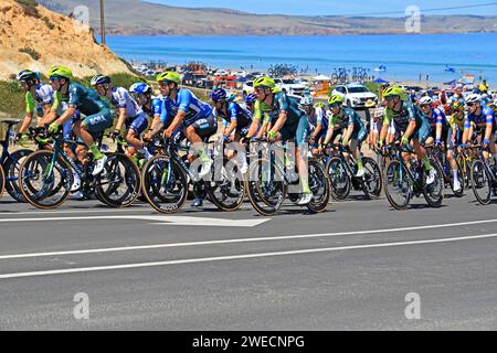 Piloti che gareggiano durante la 5a tappa del Tour Down Under 2024 ad Aldinga, ad Adelaide, Australia Foto Stock