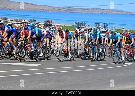 Piloti che gareggiano durante la 5a tappa del Tour Down Under 2024 ad Aldinga, ad Adelaide, Australia Foto Stock