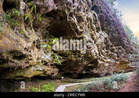 Hazard Cave Trail, formazione rocciosa presso il Big South Fork National River e area ricreativa in autunno Foto Stock