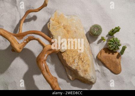 Un paesaggio naturale caratterizzato da un ramo d'albero, pietre e piccoli alberi. Area vuota sulla pietra per la pubblicità di prodotti o merci Foto Stock