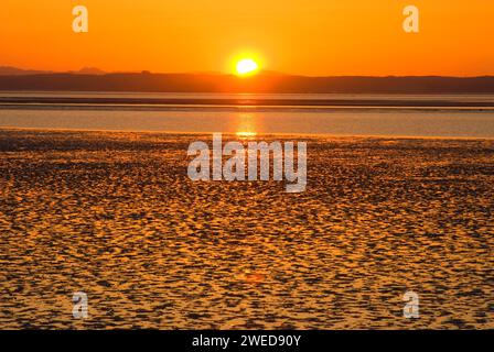 Mudflat sunrise, Damon Point State Park, Washington Foto Stock