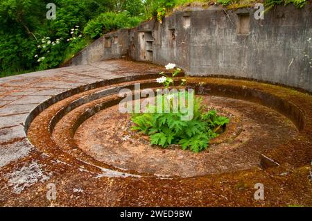 Battery Harvey Allen a Cape Disappointment, Cape Disappointment State Park, Lewis and Clark National Historical Park, Washington Foto Stock