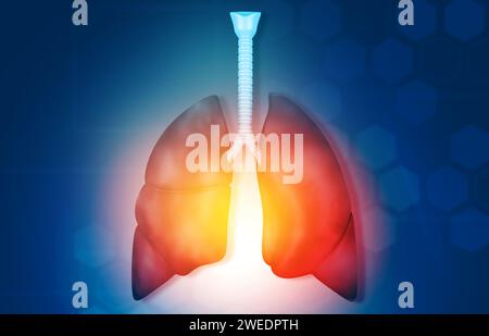 Anatomia dei polmoni umani. illustrazione 3d. Foto Stock