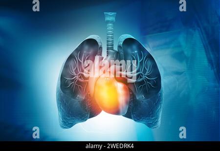 Polmoni, anatomia cardiaca su sfondo blues. illustrazione 3d. Foto Stock