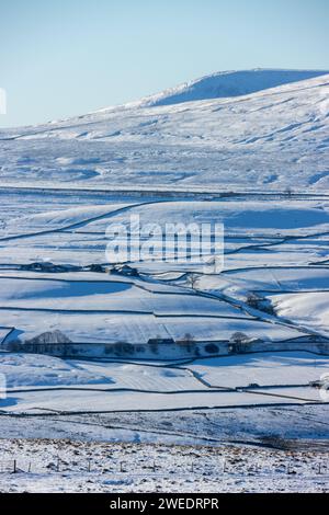 Una splendida vista sul Parco Nazionale delle Valli dello Yorkshire in inverno, con pareti di drystone e campi ricoperti di neve. Guardando verso Simon Fell. Foto Stock