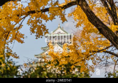 Castello di Osaka nella stagione autunnale, Osaka, Giappone. Foto Stock