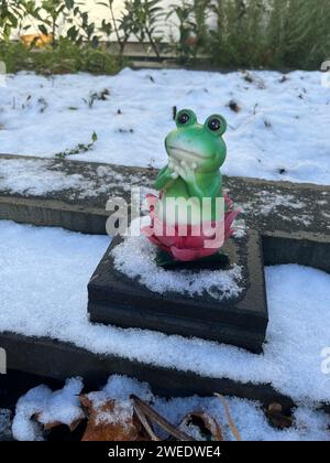 Rana nel giardino innevato. Foto di alta qualità Foto Stock