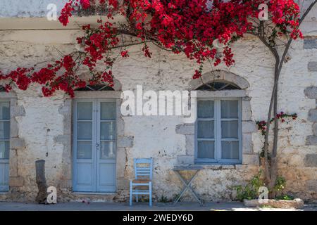 Lato di una casa con finestre a persiane e una bella bouganvillea rosa Foto Stock