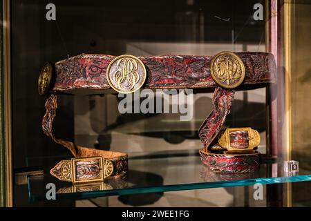 Arnaud BEINAT/Maxppp 2024/01/17, Parigi, Francia. Musée de la Légion d'honneur et des ordres de chevalerie. Ceinture porte Saber du Maréchal Berthier. ITALIANO: Museo della Legione d'Onore e degli ordini di cavalleria. Cintura di Sabre del Marshall Berthier francese. Credito: MAXPPP/Alamy Live News Foto Stock