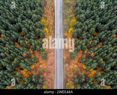 Strada di campagna vuota nella foresta autunnale da una vista a volo d'uccello. Foto Stock