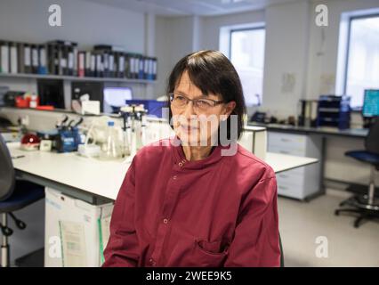 Jenny Harries, amministratore delegato dell'Agenzia per la sicurezza sanitaria del Regno Unito. È nel laboratorio di test del morbillo all'Heartlands Hospital di Birmingham. Foto Stock