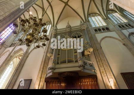 L'organo a canne all'interno della Cattedrale di San Martino nel centro storico di Utrecht, Paesi Bassi, Europa. Foto Stock