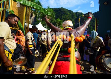 KUALA LUMPUR 25/01/2024. Thaipusam o Thaipoosam è un festival indù Tamil celebrato il primo giorno di luna piena del mese Tamil della Thailandia in coincidenza con la stella Pusam. Il festival è celebrato per commemorare la vittoria del dio indù Murugan sul demone Surapadman usando un palo, una lancia divina concessa da Parvati. Il festival include pratiche ritualistiche di Kavadi Aattam, un atto cerimoniale di sacrificio che porta un peso fisico come mezzo per bilanciare un debito spirituale. Gli adoratori spesso portano un vaso di latte vaccino come offerta e fanno anche mortificazione della carne perforando la pelle, la lingua Foto Stock