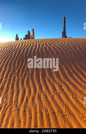 Il Totem Pole con le tracce di animali nella sabbia ondulata del Monument Valley Navajo Tribal Park in Arizona. Foto Stock