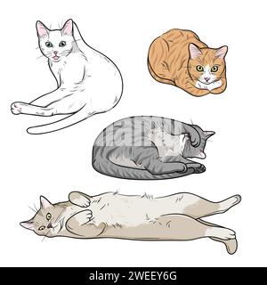 Gatti divertenti in varie pose, leccare, lavarsi, mentire, dormire, gatti seduti Illustrazione Vettoriale