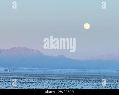 HAMI, CINA - 25 GENNAIO 2024 - Una luna luminosa sorge sui monti Tianshan orientali a Hami, provincia dello Xinjiang, Cina, 25 gennaio 2024. Il primo pieno Foto Stock