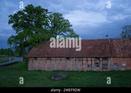 Quercia europea e fienile con struttura in legno Foto Stock