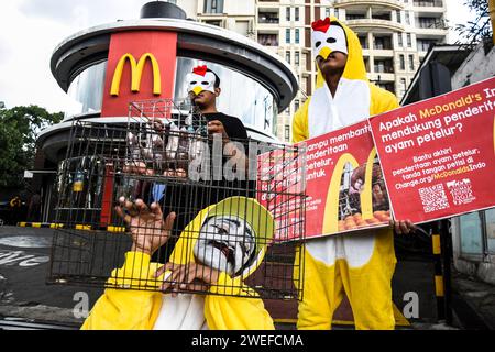 Bandung, Indonesia. 25 gennaio 2024. Gli attivisti che sono membri di Animal Friends Jogja svolgono un'azione di fronte al ristorante fast food indonesiano McDonald's a Bandung, Giava Occidentale, Indonesia, il 25 gennaio 2024. Questa azione richiede l'impegno di McDonald's Indonesia di utilizzare uova provenienti da allevamenti di polli privi di gabbia per porre fine alle sofferenze delle galline ovaiole in gabbie in batteria la cui vita è infelice. (Foto di Dimas Rachmatsyah/Sipa USA) credito: SIPA USA/Alamy Live News Foto Stock