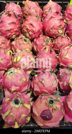 Una colorata e vibrante esposizione di Dragonfruit fresco di dragonfruit crudo della fattoria frutta rara frutta asiatica di prima qualità Foto Stock