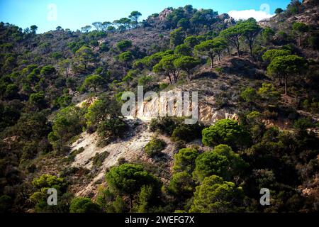 costa marina, località, montagne, foresta, mare, rocce, sentieri di montagna, turismo, località ecologica, città costiera, fauna selvatica, città costiera spagnola, Tossa de Foto Stock