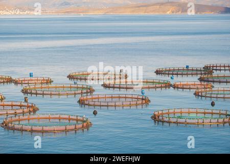 Vista delle gabbie di allevamento di pesci marini e delle reti da pesca, dell'allevamento di dorado, dell'orata e della spigola, del processo di alimentazione dei pesci da foraggio. Mar Ionio, Grecia. Commer Foto Stock