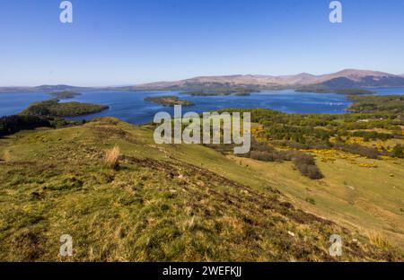 Loch Lomond da Conic Hill in una giornata limpida e soleggiata Foto Stock