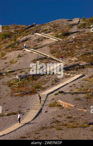 Windy Ridge Trail, Mt St Helens National Volcanic Monument, Washington Foto Stock