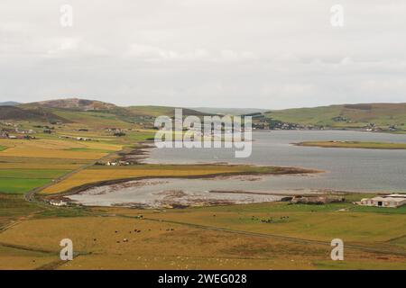 Vista sulla Baia di Firth da Wideford Hill, Kirkwall, che mostra turbine eoliche, bestiame, fattorie di sabbia sul campo, Orcadi, Scozia, Regno Unito Foto Stock