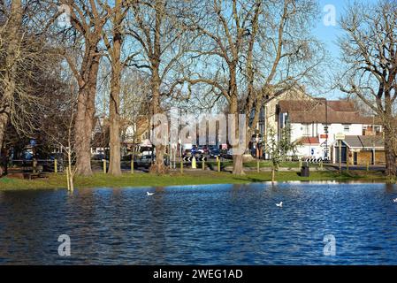 Un Manor Park allagato causato da tempeste invernali a Shepperton in un giorno d'inverno soleggiato Surrey, Inghilterra, Regno Unito Foto Stock