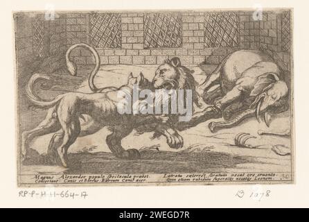 Un cane, un leone e un elefante in gabbia, Antonio tempesta, 1605 faccia stampata in una gabbia con un elefante morto e un cane da combattimento e un leone. Testo in latino in STUDMARGE. cane da incisione di carta. animali trunked: elefante. bestie prede, animali predatori: leone. uomo e animale (+ gabbia animale) Foto Stock