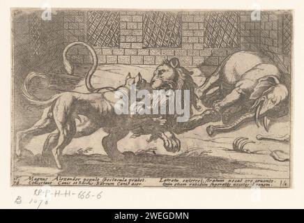 Cane, leone ed elefante in gabbia, Antonio tempesta, 1605 faccia stampata in una gabbia con un elefante morto e un cane da combattimento e un leone. Testo in latino in STUDMARGE. cane da incisione di carta. animali trunked: elefante. bestie prede, animali predatori: leone. uomo e animale (+ gabbia animale) Foto Stock