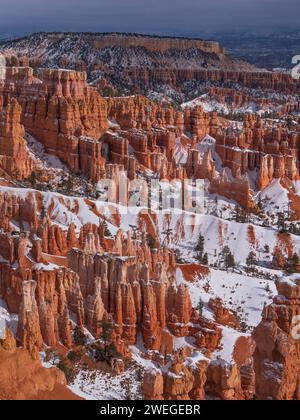 Vista dal Rim Trail tra Sunset e Sunrise Points, il Bryce Canyon National Park, Utah. Foto Stock
