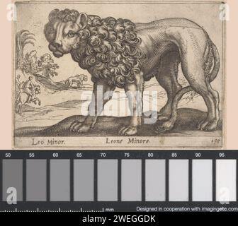 Kleine Leeuw, Antonio tempesta, in o prima del 1650 stampano Un piccolo leone in un paesaggio. Sullo sfondo due cacciatori a cavallo e un leone. bestie di prede, animali predatori: leone Foto Stock