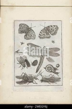Insetti, 1635 - 1660 stampa vari insetti: Tra cui farfalle, Libelle, Bromvlieg, coccinella, lumaca e Grasshoppers. Questa stampa fa parte di un album. insetti per incisione su carta: farfalla. insetti: volare. insetti: tramoggia per erba Foto Stock