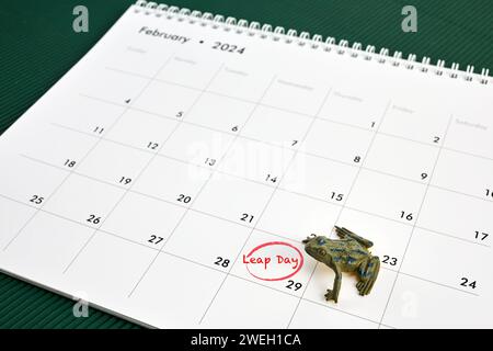 Buon Leap Day o anno bisestile. Pagina del calendario 29 febbraio Foto Stock