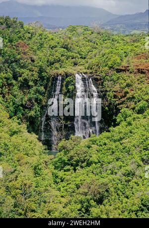 Le cascate di ʻŌpaekaʻa sono una cascata situata sul torrente ʻŌpaekaʻa nel Wailua River State Park, sul lato orientale dell'isola hawaiana di Kauai. Foto Stock