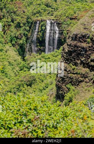 Le cascate di ʻŌpaekaʻa sono una cascata situata sul torrente ʻŌpaekaʻa nel Wailua River State Park, sul lato orientale dell'isola hawaiana di Kauai. Foto Stock