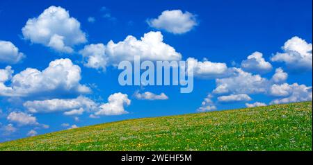 Nuvole bianche, Cumulus humilis, nel cielo blu sopra un prato di fiori, Steingaden, Baviera, Germania Foto Stock