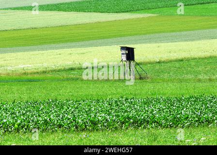 Un alto seggio si erge da solo nel mezzo di prati verdi, nel Altmühltal, in Baviera, in Germania Foto Stock